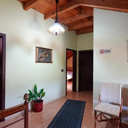 Vila118